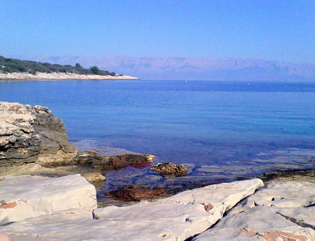 Sonija * Gdinj